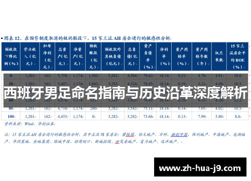 西班牙男足命名指南与历史沿革深度解析