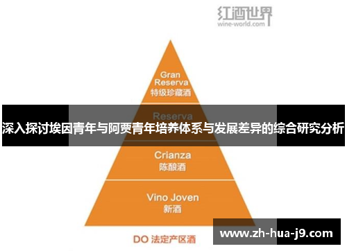 深入探讨埃因青年与阿贾青年培养体系与发展差异的综合研究分析