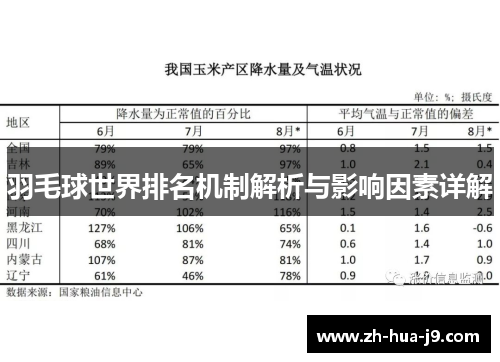 羽毛球世界排名机制解析与影响因素详解
